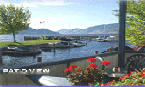 View from the patio - okanagan
                  accommodation/vacation rental