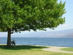 Waterfront area near vacation rental suite in BC