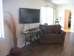 The large living room includes a TV and queen hideabed