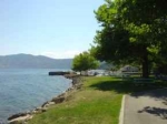 Peachland waterfront park
                next door. Lakeshore area near our Peachland Vacation
                Rental Accommodation in BC Canada