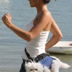 Pet Humour Image