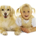 Pet Humour Image