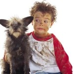 Pet Humour Image