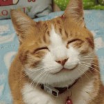 Pet Humour Image
