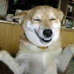 Pet Humour Image
